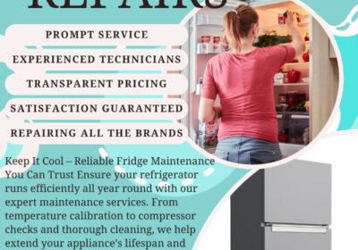 BIT-Fridge-Repair-1