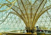 Tourist Sites in Dubai | Sharjah Tourist Spot | Kayaking Dubai