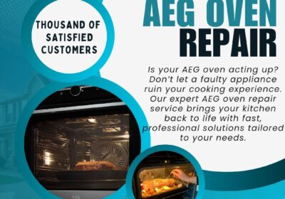AEG-Oven-Repair-BIT