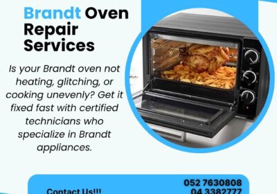 Brandt-Oven-Repair-BIT