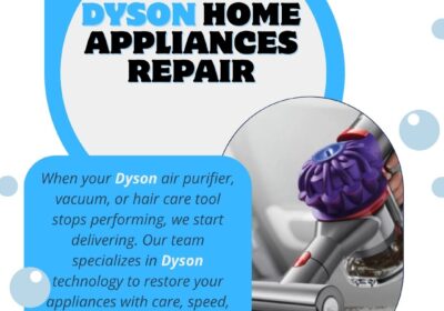 Dyson-Home-Appliances-Repair-BIT
