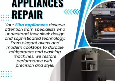 ELBA-Home-Appliances-Repair-BIT