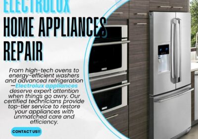 Electrolux-Home-Appliances-Repair-BIT