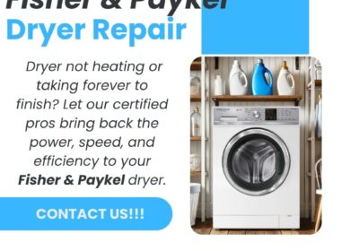 Fisher-Paykel-Dryer-Repair-BIT