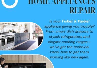 Fisher-Paykel-Home-Appliances-Repair-BIT
