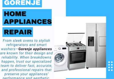 Gorenje-Home-Appliances-Repair-BIT