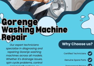 Gorenje-Washing-Machine-Repair-BIT