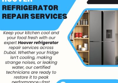 Hoover-Refrigerator-Repair-BIT