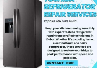 Toshiba-Refrigerator-Repair-BIT