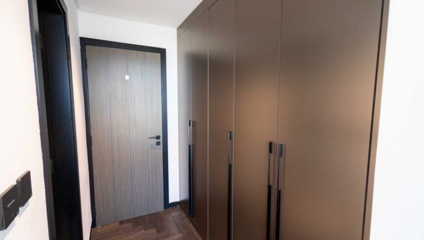 A beautiful 1BR with burj khalifa skyline view in the heart of Dubai-direct from landlord.