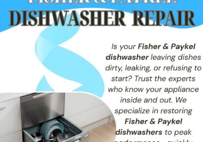 Fisher-Paykel-Dishwasher