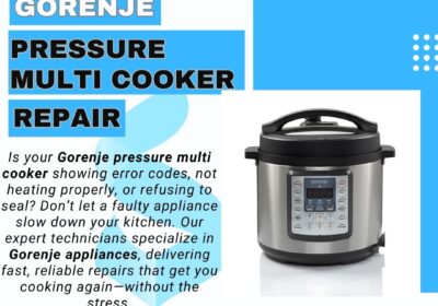 Gorenje-Pressure-Multi-Cooker