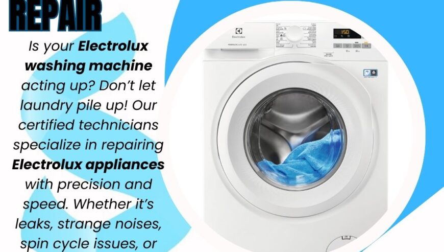 Electrolux Washing Machine Repair Services