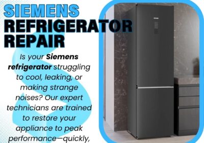 Siemens-Fridge