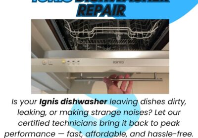 Ignis-Dishwasher