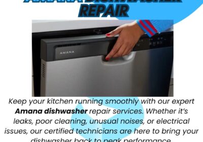 Amana-Dishwasher