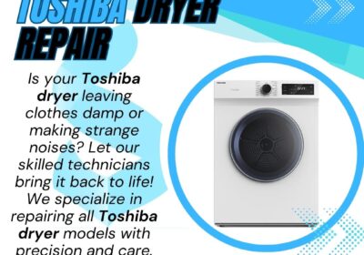 Toshiba-Dryer