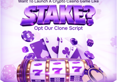 stake-clone-script-29-12-2025
