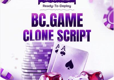 bc-game-clone-script-29-12-2025-1
