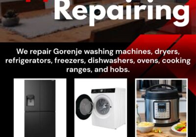 gorenje-1