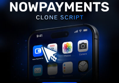 nowpayments-clone-script