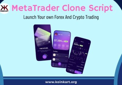 MetaTrader-Clone-Script