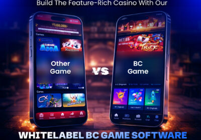 Whitelabel-BC-Game-Software-1