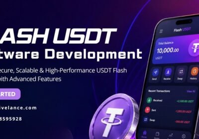 flash-usdt-software